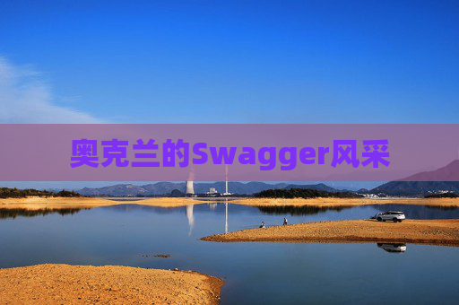 奥克兰的Swagger风采